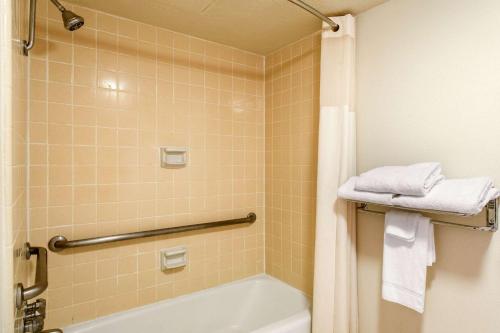 Koupelna v ubytování Quality Inn Stateline