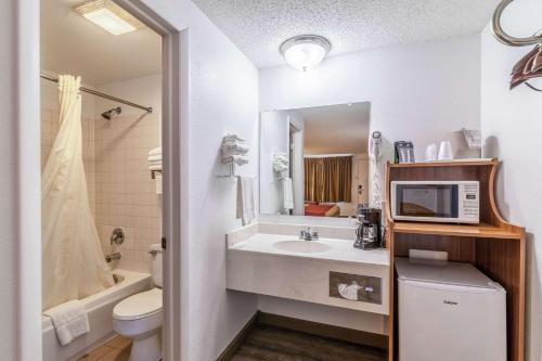 a bathroom with a sink and a toilet and a microwave at Econo Lodge in Miles City