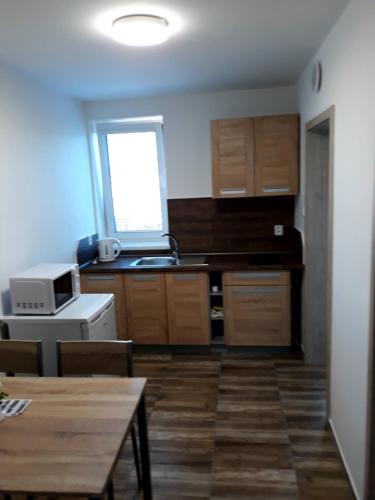 赫洛霍韋茲的住宿－Apartmán u Davida，厨房配有木制橱柜、桌子和窗户。