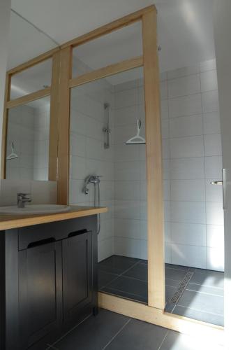 a bathroom with a shower with a counter and a sink at Gîte Cigogne in Odratzheim