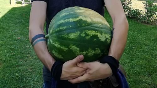 a person holding a large green watermelon at Agriturismo Casa Agricola Rossi Appartamenti in Casentino in Soci