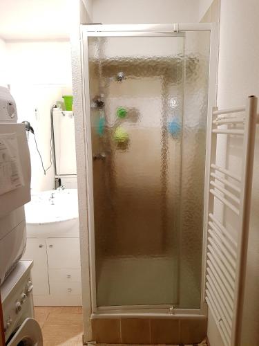 une douche avec une porte vitrée dans une salle de bain dans l'établissement Appartement 3 pièces 6 personnes, Le Panoramique, La Joue du loup, à La Joue du Loup