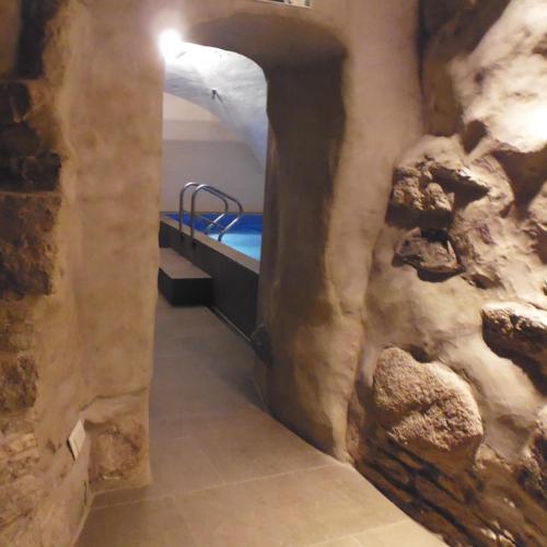 a bathroom with a swimming pool in a cave at Hotel Regent Tallinn in Tallinn