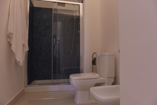 a bathroom with a toilet and a glass shower at Palazzo Galifi in Paterno