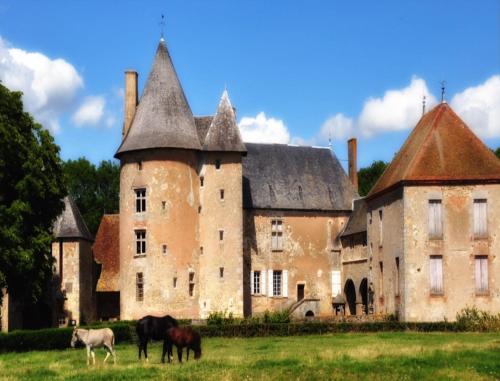 Fotografie z fotogalerie ubytování Château du Max v destinaci Le Theil