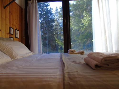 - un lit avec des serviettes devant une fenêtre dans l'établissement Hs4U Chalet sulle piste - Dolomiti - Madonna di Campiglio, à Madonna di Campiglio