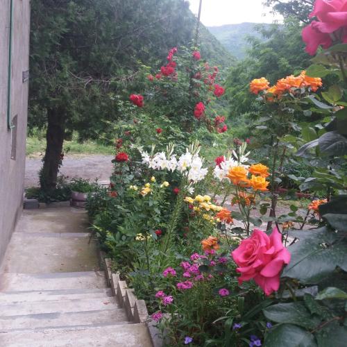 a garden with colorful flowers and a pathway at IRIS B&B in DEBED CANYON in Alaverdi