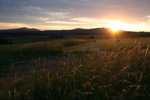 エーレントにあるHotel Grüne Tanne Mandelholzの夕日を背景にした草原