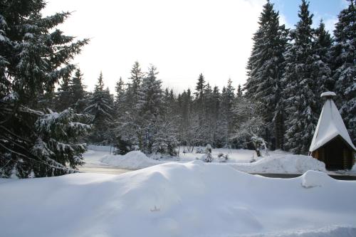 a snow covered yard with a cabin in a forest at Hotel Grüne Tanne Mandelholz in Elend