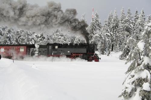 a steam train traveling through a snow covered forest at Hotel Grüne Tanne Mandelholz in Elend