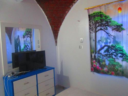 Μια τηλεόραση ή/και κέντρο ψυχαγωγίας στο Moon Valley Apartments