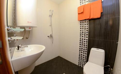 Baño pequeño con lavabo y aseo en The Poppies House, en Progled