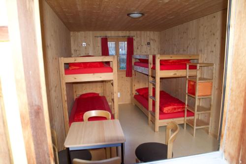 庫爾的住宿－Casa Dorma Bain，一间小房间,内有四张双层床