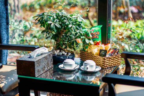 a table with tea cups and a potted plant on it at Tam Coc Golden Rice in Ninh Binh