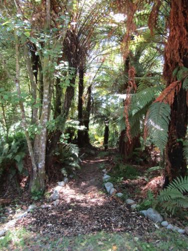 a path in a forest with trees and plants at Greenstone Retreat in Kumara