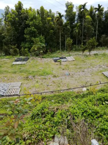 a field with several solar panels on it at 台東民宿 關山桃花心木民宿農場 in Guanshan