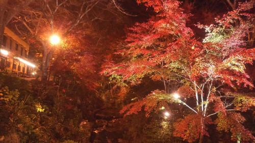 Jardín al aire libre en 猿投温泉金泉閣