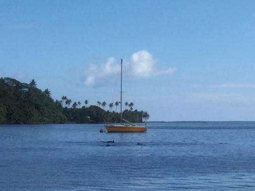 a boat sitting in the middle of a large body of water at Raiatea sur Mer in Opoa