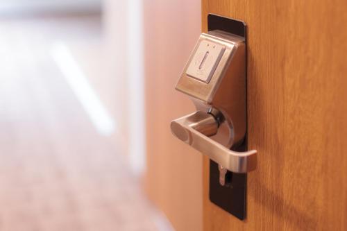 a bronze door knob on a wooden door at SOLAVO HOME&TRAVEL in Solec-Zdrój