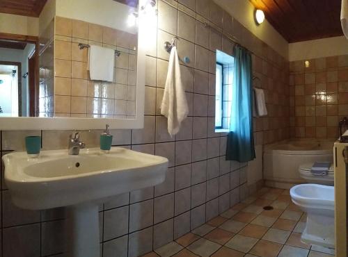 a bathroom with a sink and a toilet at Radovoli in Papingo