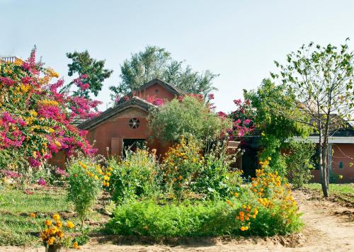 Zahrada ubytování Apani Dhani Eco-Lodge