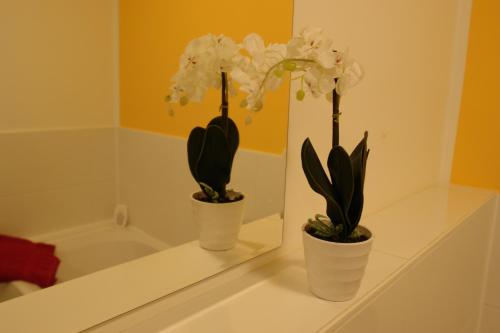 two vases with flowers on a shelf in a bathroom at Pension Zeitlos in Potsdam