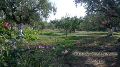 Κήπος έξω από το Mina Apartments