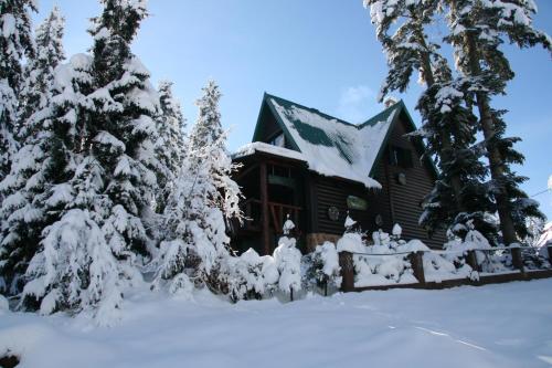 una cabaña de madera en la nieve con árboles en Durmitor Chalet, en Žabljak
