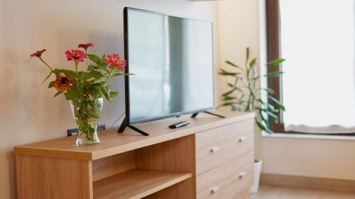 a vase of flowers sitting on a dresser with a mirror at Apartamentos Rurales Argame in Argamé