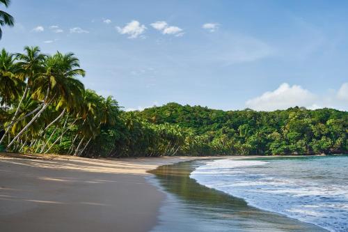 a beach with palm trees and the ocean at Bom Bom - Principe Collection in Principe
