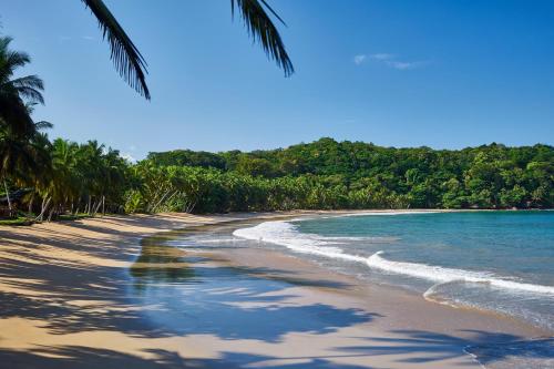 a sandy beach with palm trees and the ocean at Bom Bom - Principe Collection in Principe