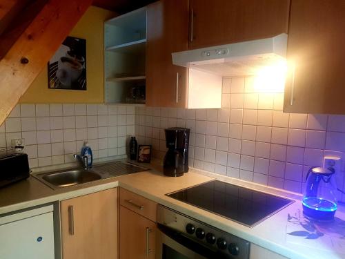 a kitchen with a sink and a counter top at Ferienhaus Alte Post in Mulda