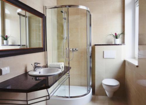a bathroom with a shower and a sink and a toilet at Kamienica 22 Old Town in Gdańsk
