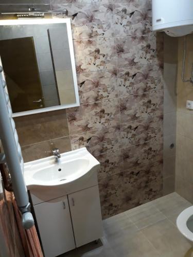 a bathroom with a sink and a mirror at Apartmani Radulović in Vrnjačka Banja