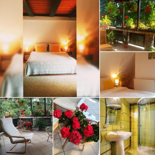a collage of photos of a room with a bed and flowers at Pension Casa Aurora in Vama