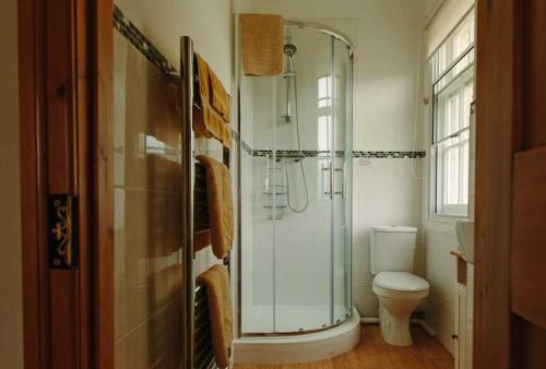 a bathroom with a shower and a toilet at Hordley Hall in Ellesmere