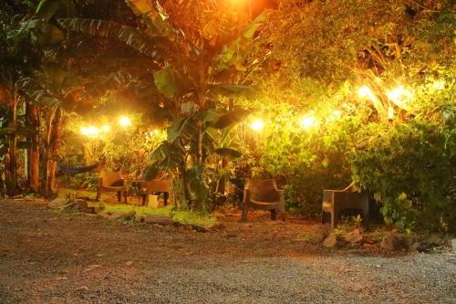 a garden at night with chairs and lights at Casa Jungle Monteverde B&B in Monteverde Costa Rica