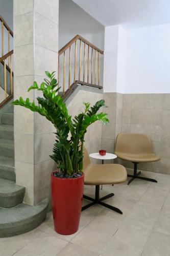a plant in a red pot next to a staircase at Zurich Furnished Homes in Zürich