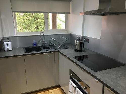 eine kleine Küche mit einem Waschbecken und einem Fenster in der Unterkunft Perfect Modern Base Near All Attractions in London