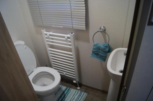 een kleine badkamer met een toilet en een wastafel bij Relaxing Breaks with Hot tub at Tattershal lakes 3 Bedroom in Tattershall