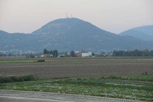 a view of a field with a mountain in the background at Ca' Vascon Alloggio Agrituristico in Villa Estense