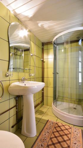 a bathroom with a sink and a shower at Pension Casa Aurora in Vama