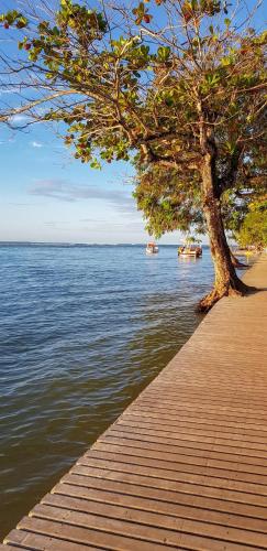 a tree on a boardwalk next to a body of water at Pousada Água Viva in Ilha de Boipeba