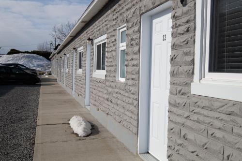 a white cat sitting on a sidewalk next to a building at Motel Canadien in Trois-Rivières