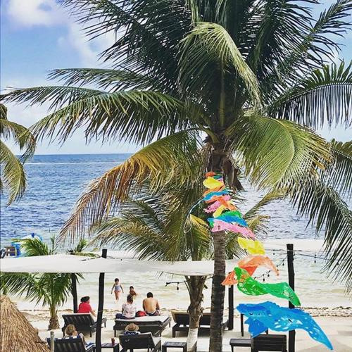 people sitting under a palm tree on the beach at Hotel Luna De Plata in Mahahual