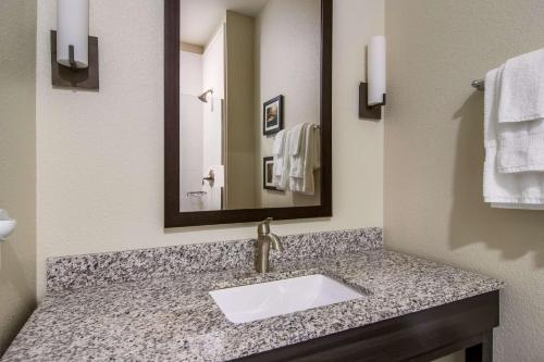 a bathroom with a sink and a mirror at Comfort Suites in Brunswick