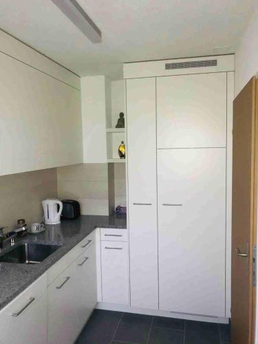 Kuchyň nebo kuchyňský kout v ubytování 3 Room Premium Apartment Buchs SG