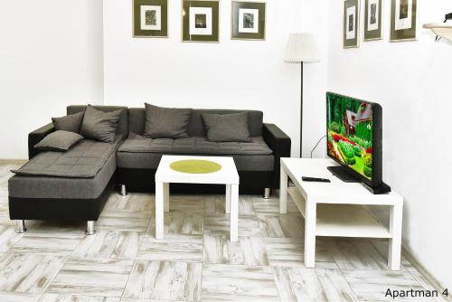 a living room with a couch and a tv at Vajda Apartments in Novi Sad