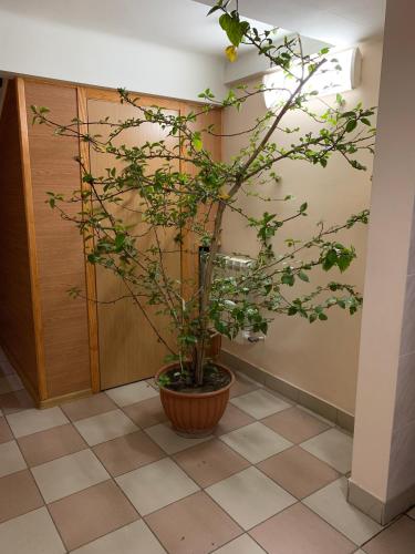 Fotografie z fotogalerie ubytování Inn on Zhytomyrska v Kyjevě