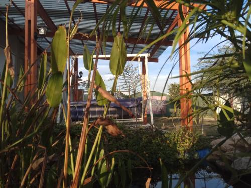 a plant with green leaves in front of a building at Mi Amor in Nevatim